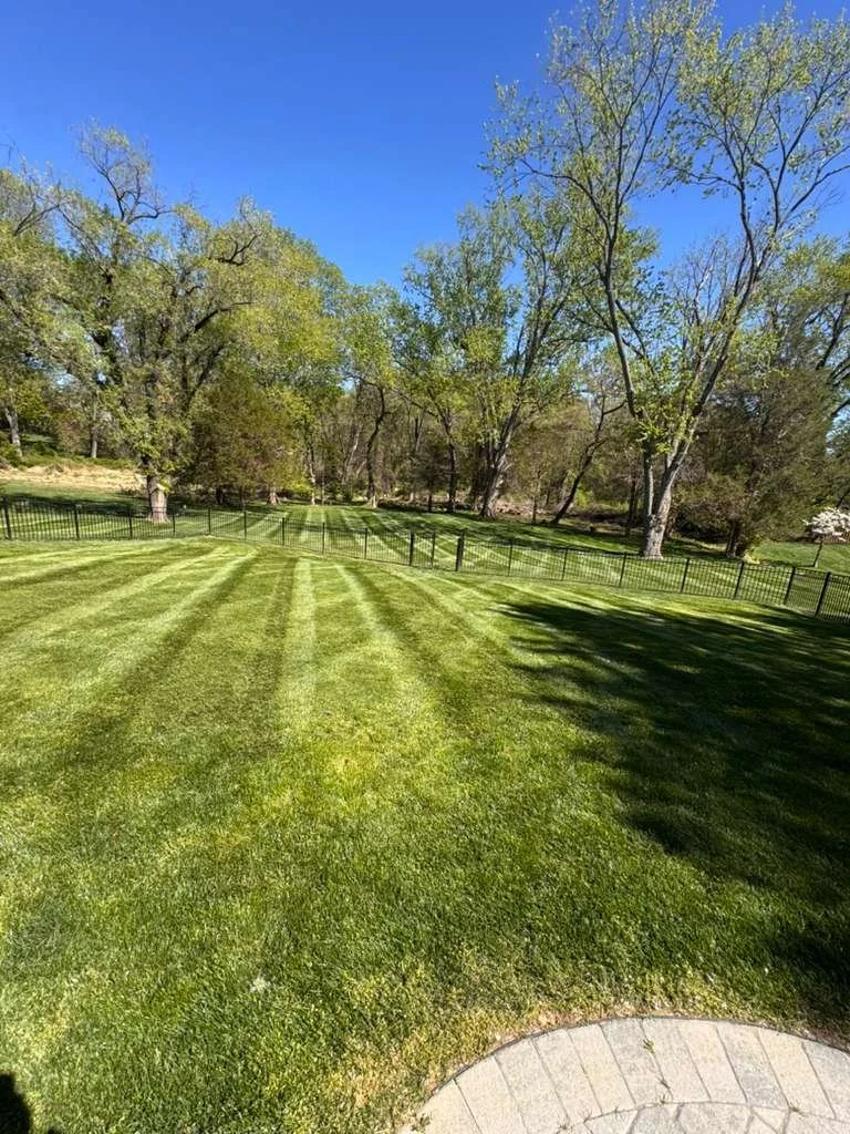 A well-maintained grassy backyard with striped lawn, surrounded by trees and a black metal fence.