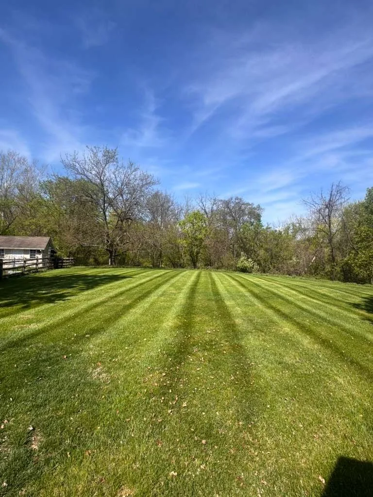 A well-maintained grassy lawn with alternating light and dark stripes, surrounded by trees with some leaves and some bare branches, under a mostly clear blue sky with a few wispy clouds.