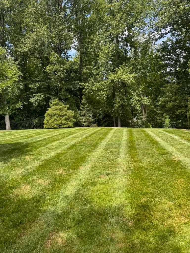 A well-maintained grassy lawn with alternating light and dark green stripes, bordered by tall trees and bushes in the background.