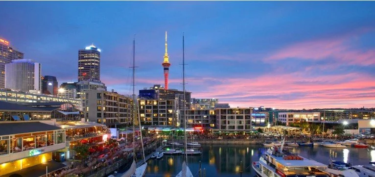 PDF Work in New Zealand as a Nurse/ Nurse Practitioner "Step by Step Guide in obtaining [NZ Annual Practicing Certification] FREE for you only pay research fee