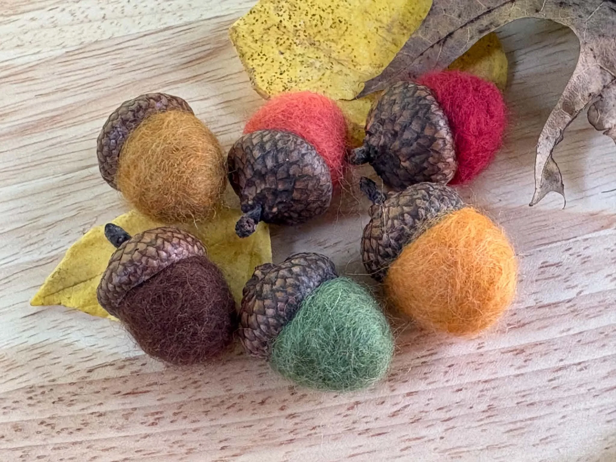 Jumbo Felted Fall Acorns 6 Pack