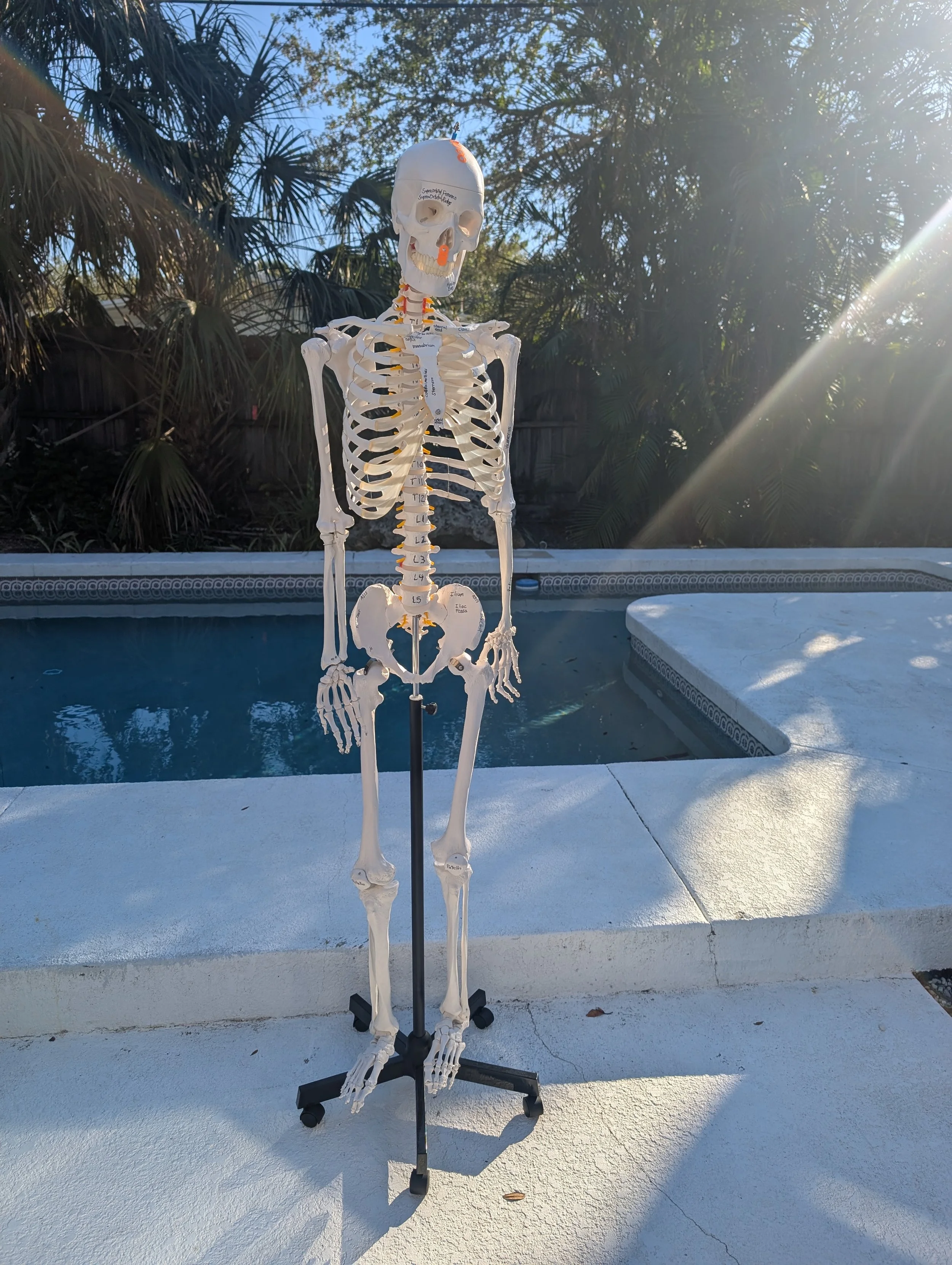 Bone Health during Chemo and Radiation treatments