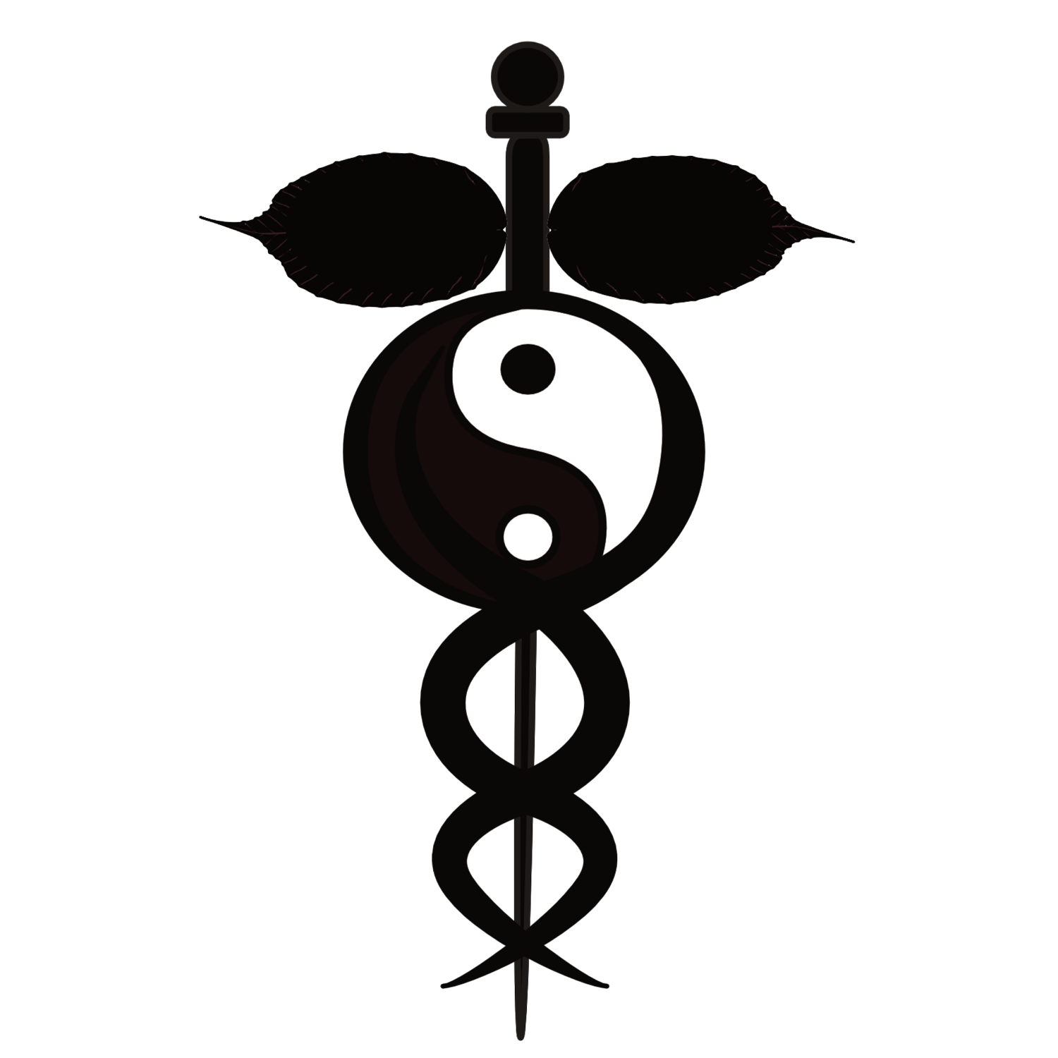 Acupuncture by Kevin Songer