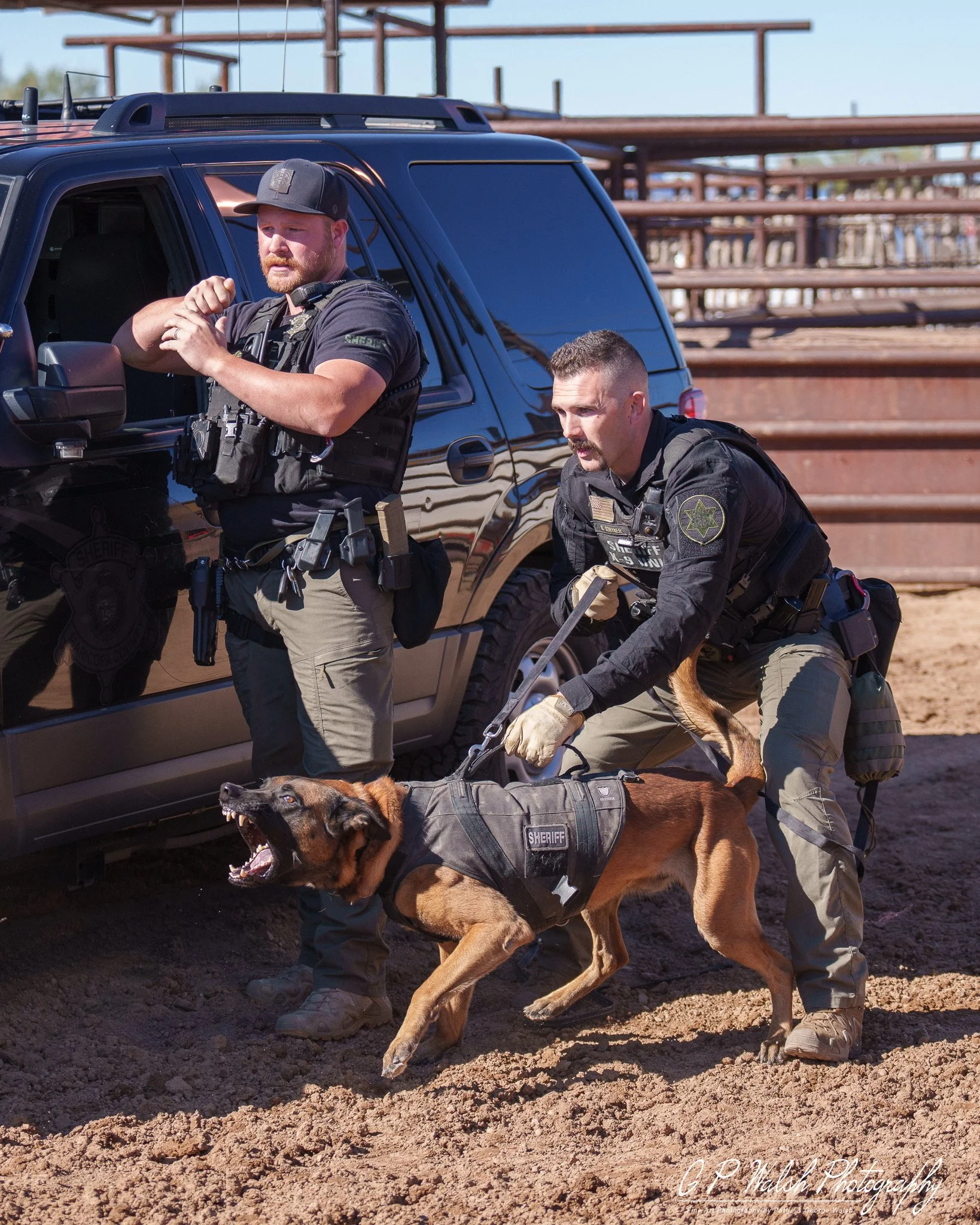 Two police officers and a police dog at a crime scene, with a dark-colored vehicle and empty metal structures in the background.