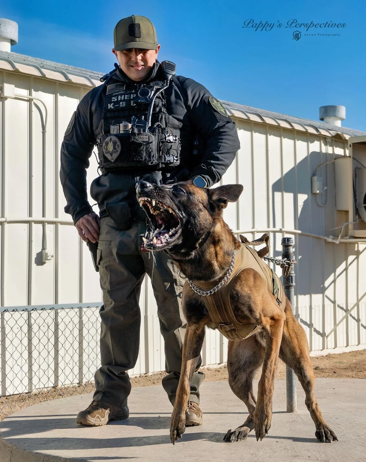 A police officer standing outdoors with a Belgian Malinois dog. The officer is wearing a black uniform and a cap, and the dog has its mouth open, showing its teeth.