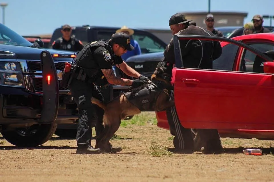 Police officers and a K-9 dog search a red car during a checkpoint on a sunny day. Several vehicles and bystanders are visible in the background.