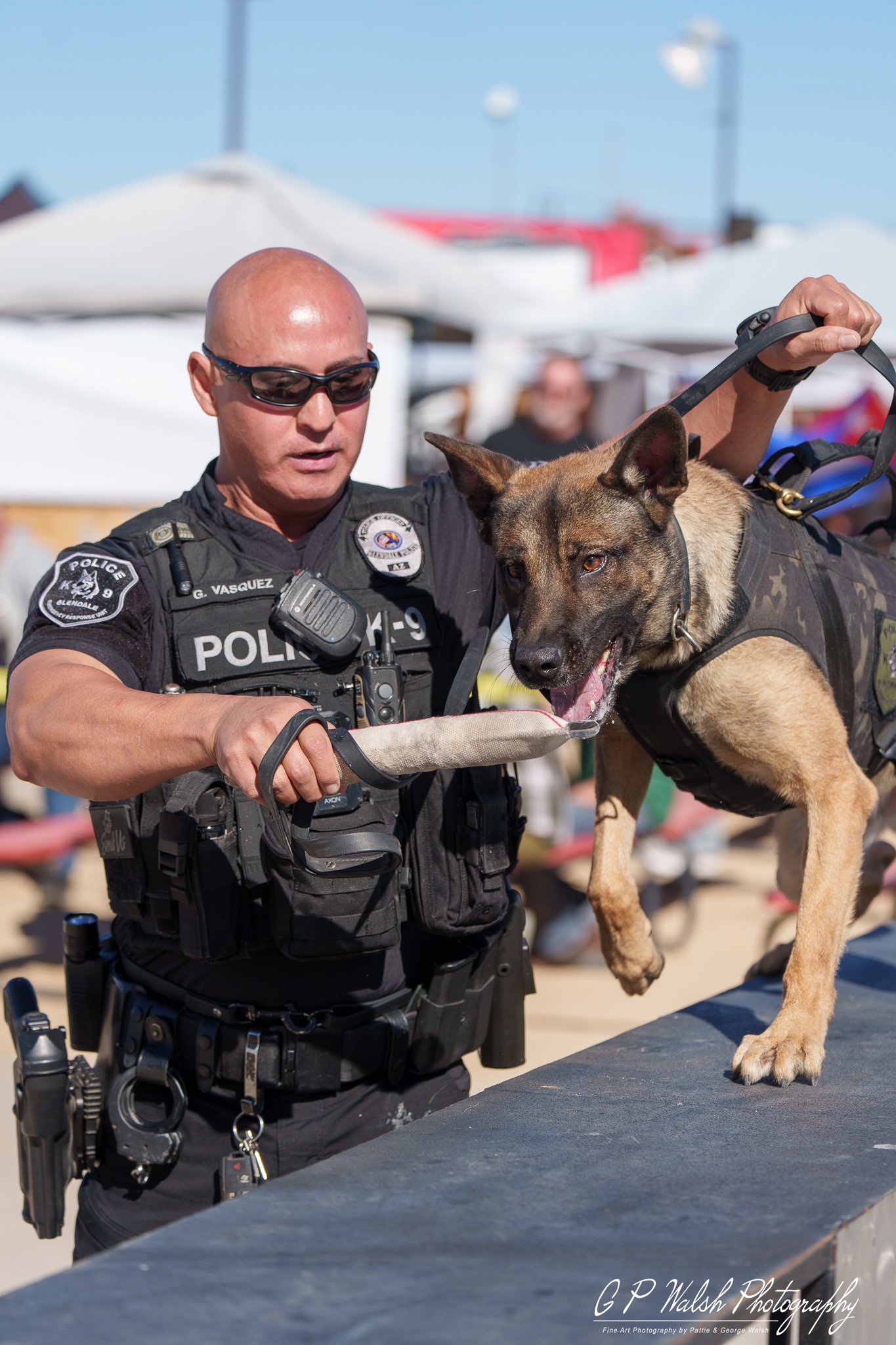 A police officer wearing sunglasses and a tactical vest holding a Belgian Malinois police dog on a table at an outdoor event.
