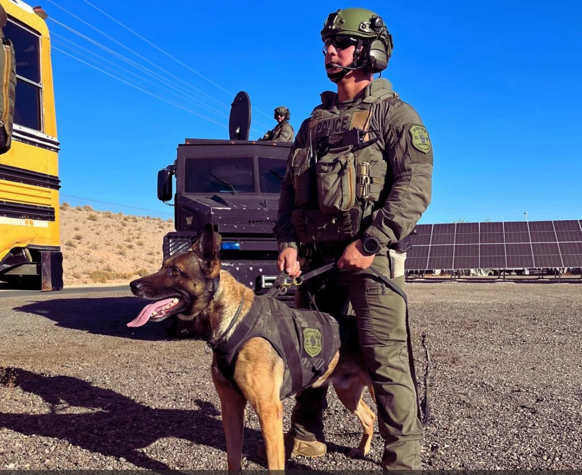 A police officer in tactical gear standing with his trained police dog on a sunny day with solar panels in the background.