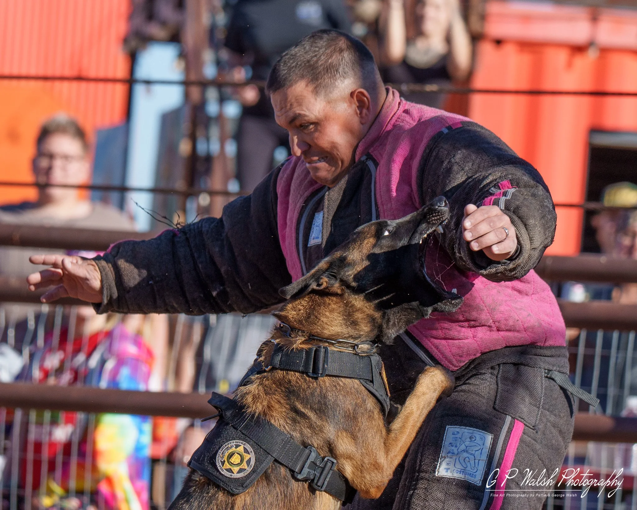 A police officer in uniform is participating in a dog training exercise with a German shepherd. The officer is holding the dog and both appear focused on a task. The background includes an audience and colorful objects, possibly at a public event or 