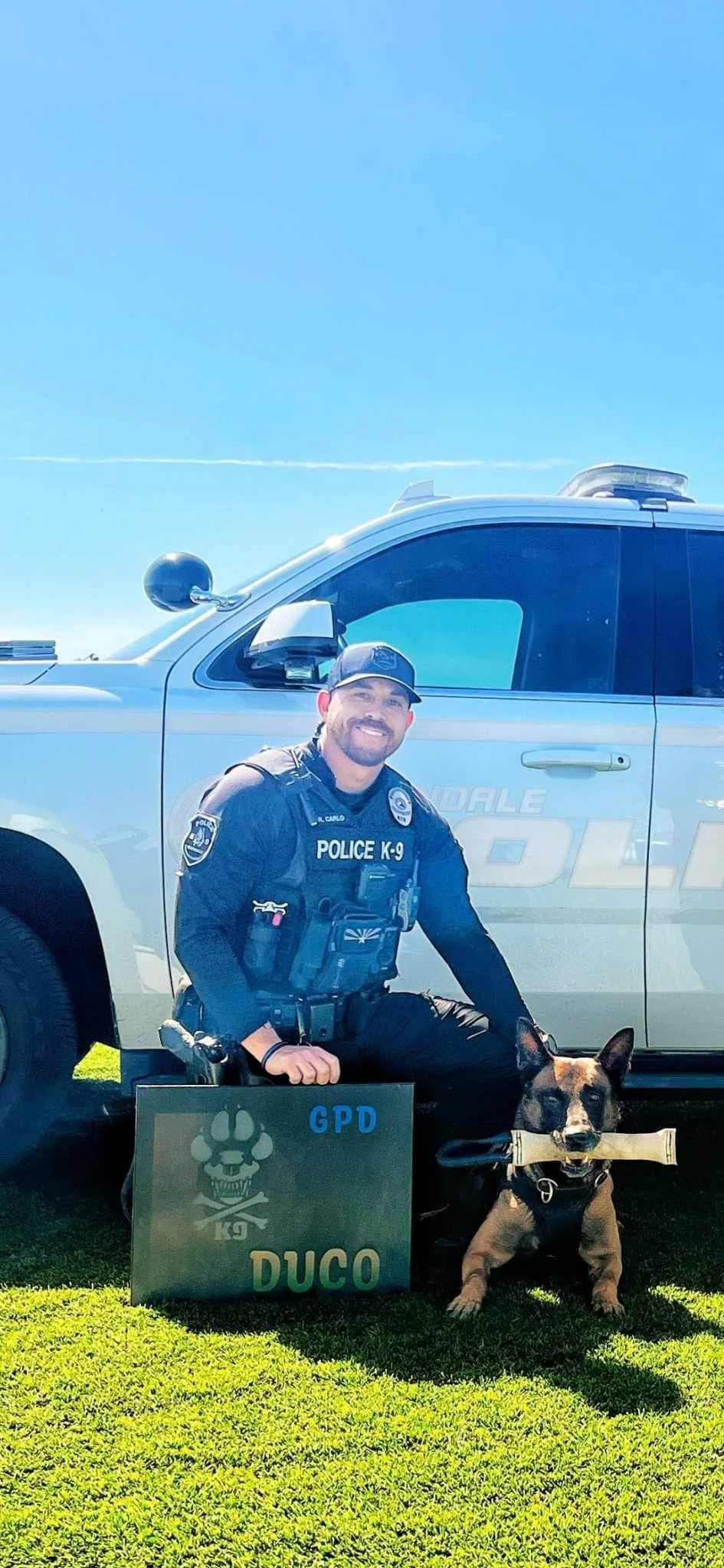 A police officer in uniform kneeling next to a police dog with a pong, in front of a police vehicle on a grassy area under a bright blue sky.