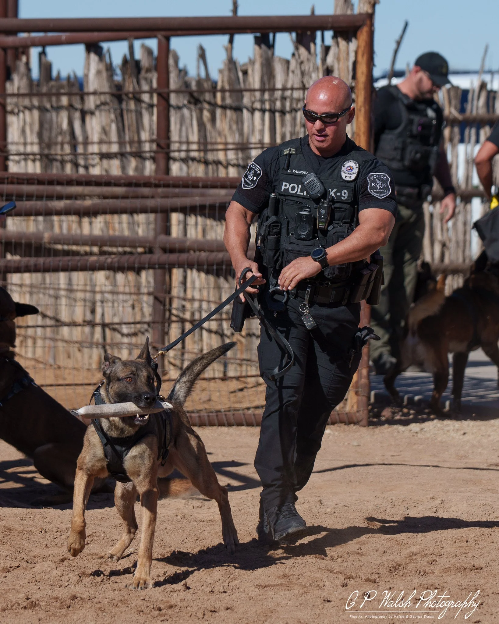 A police officer, wearing sunglasses and a uniform with a K-9 badge, is walking a police dog on a leash in an outdoor setting with a dirt ground and a wooden fence in the background.