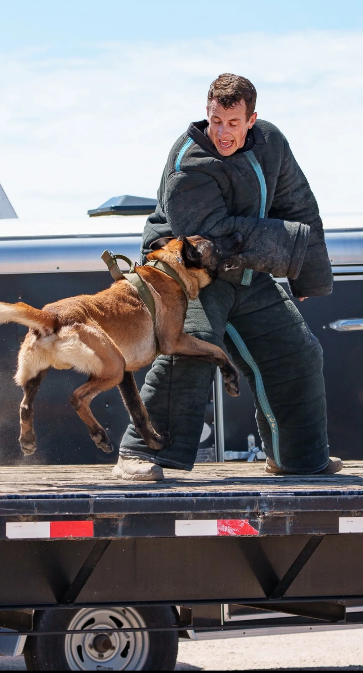 A man in a protective suit is engaged in a playful fight with a dog on a truck bed, with an outdoor blue sky in the background.