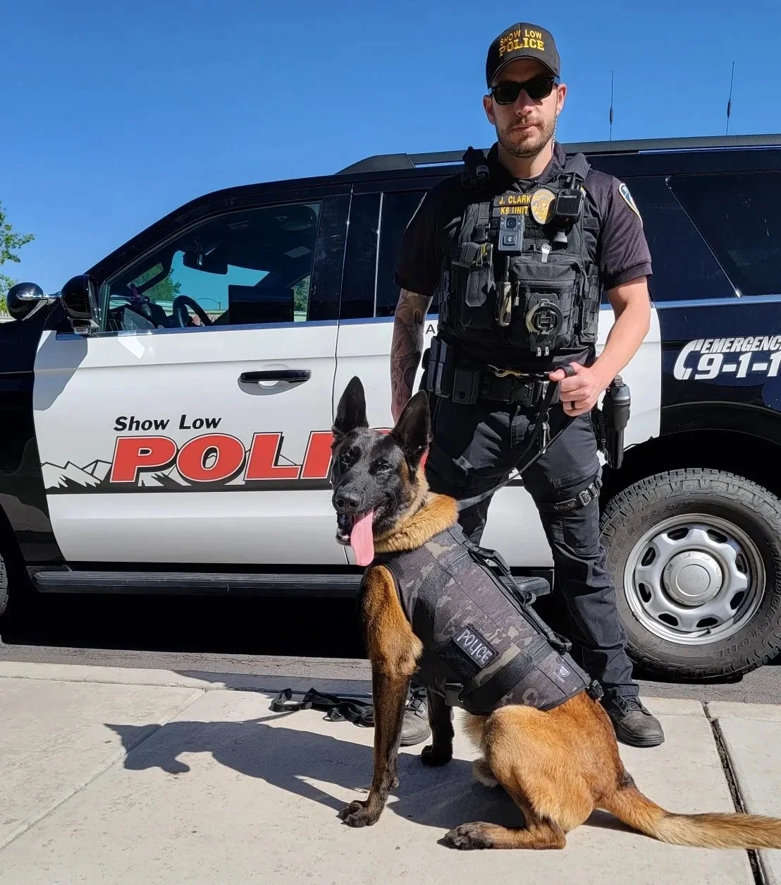 A police officer standing beside a police dog in front of a police vehicle on a sunny day. The officer is wearing sunglasses and tactical gear, while the dog is wearing a vest and has its tongue out.