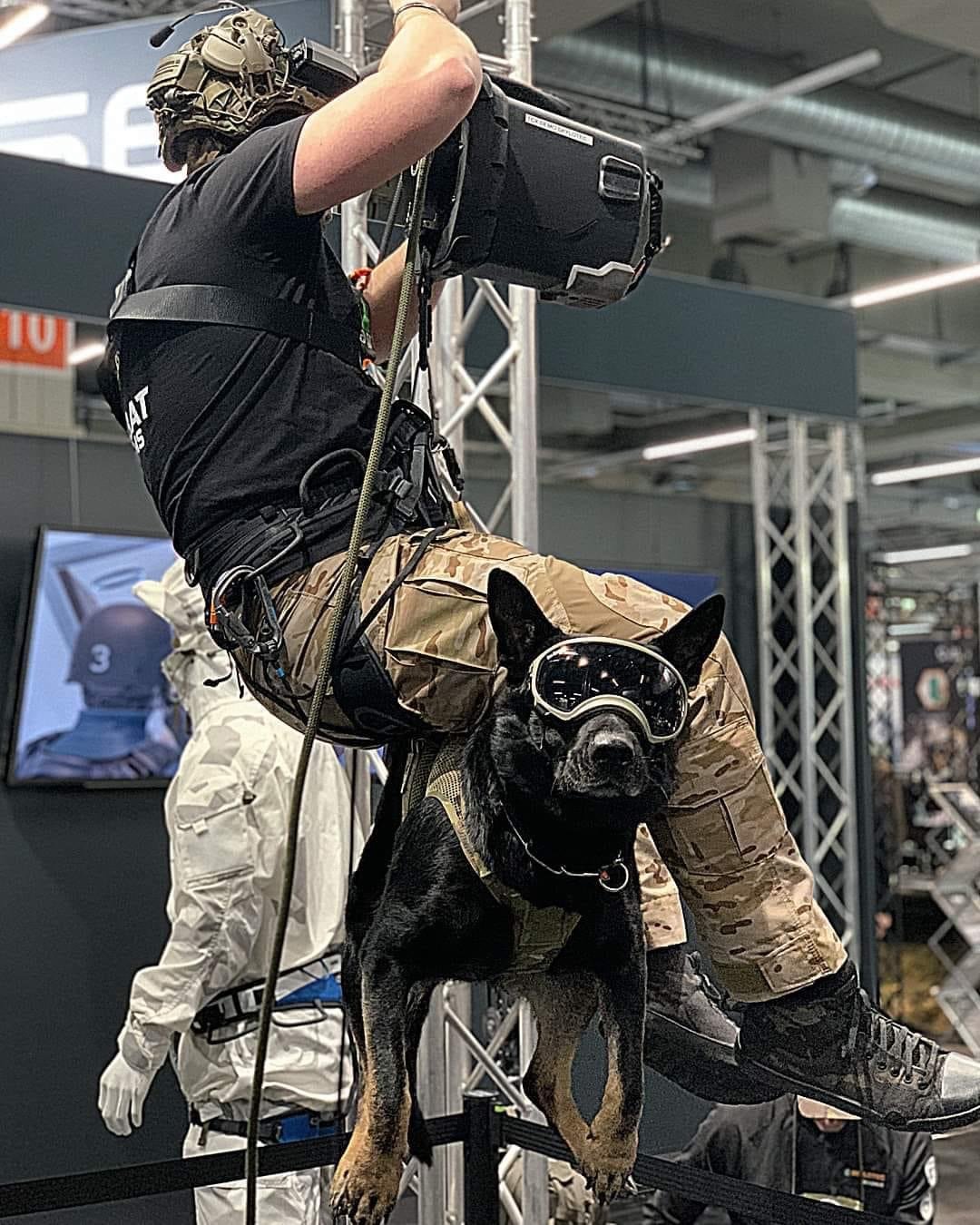 A black German Shepherd wearing goggles perched on a military harness, suspended in the air, with a person in military gear operating a camera or equipment above it at an indoor facility.