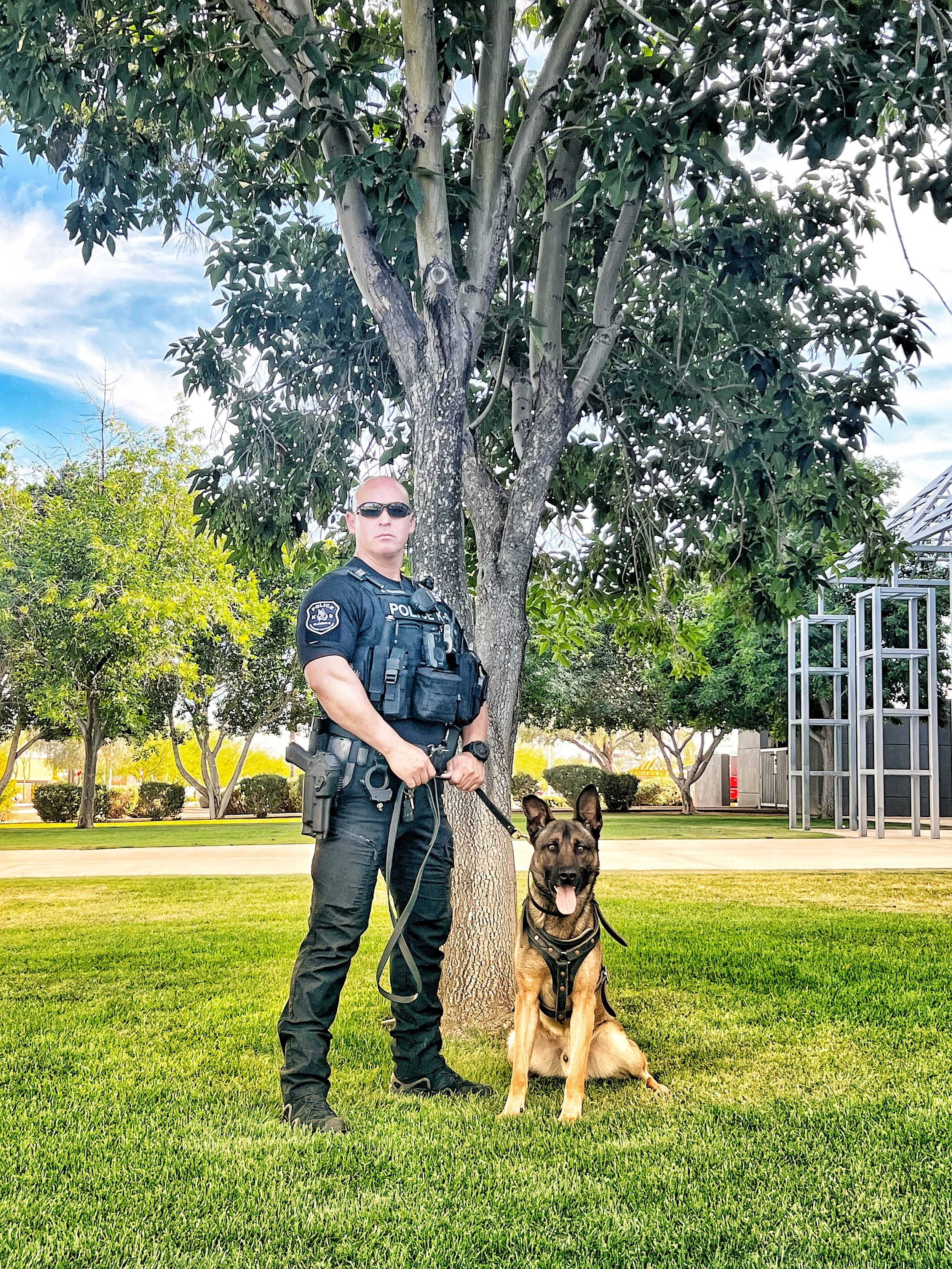 A police officer standing next to a police dog, a German Shepherd, in a park with trees and grass. The officer is in uniform, wearing sunglasses, and holding the dog’s leash. The dog is sitting and has a police vest on.