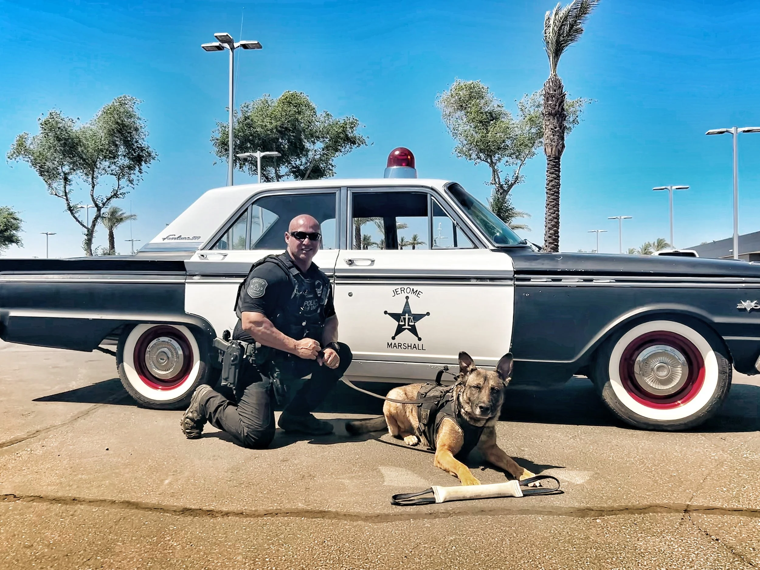 A police officer kneeling next to a police dog in front of a vintage police car with palm trees and streetlights in the background.