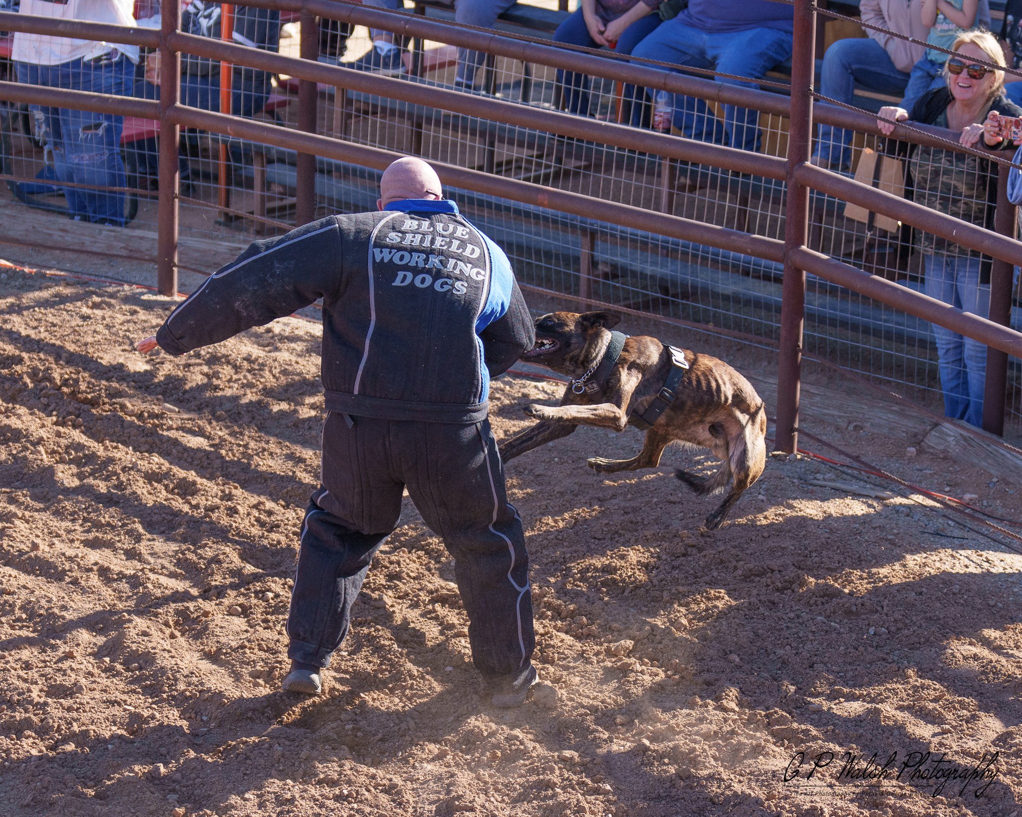A man working with a brown and black dog during a dog training event at an outdoor arena, with spectators sitting on bleachers behind a metal fence, some smiling and taking photos.