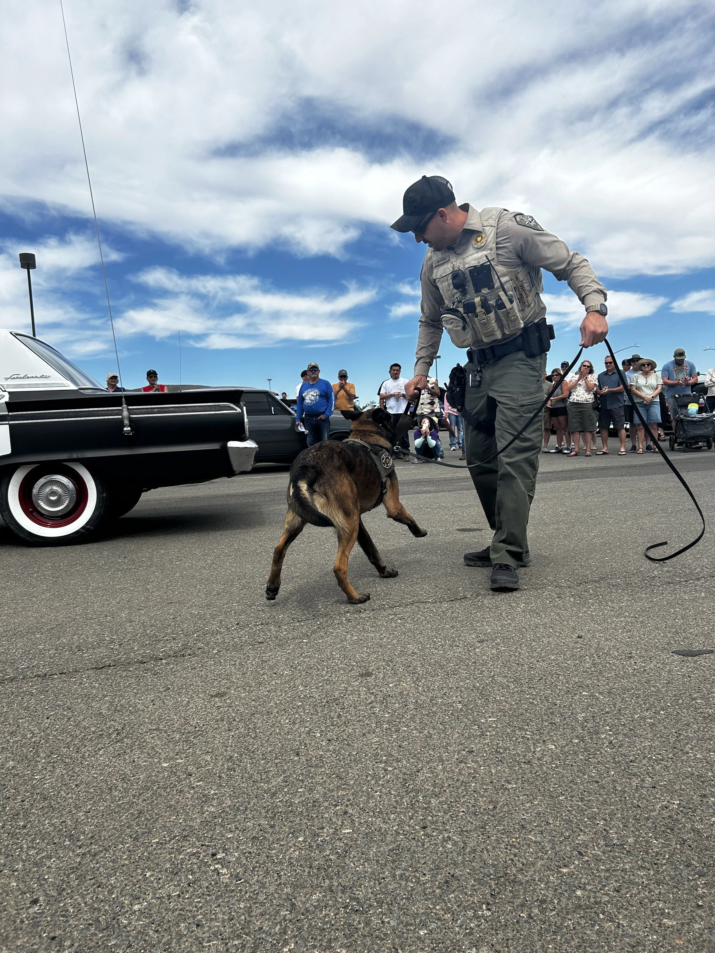 Police officer with a police dog during a public event on a parking lot under a partly cloudy sky, surrounded by a crowd of spectators.
