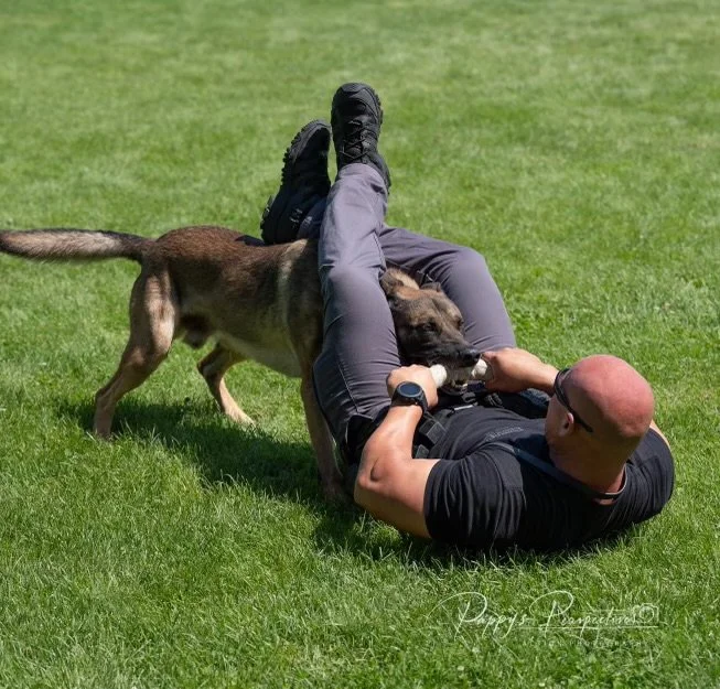 A man lying on the grass playing with a dog, with the dog standing over him. The man is wearing black clothing and sunglasses, and the dog appears playful.