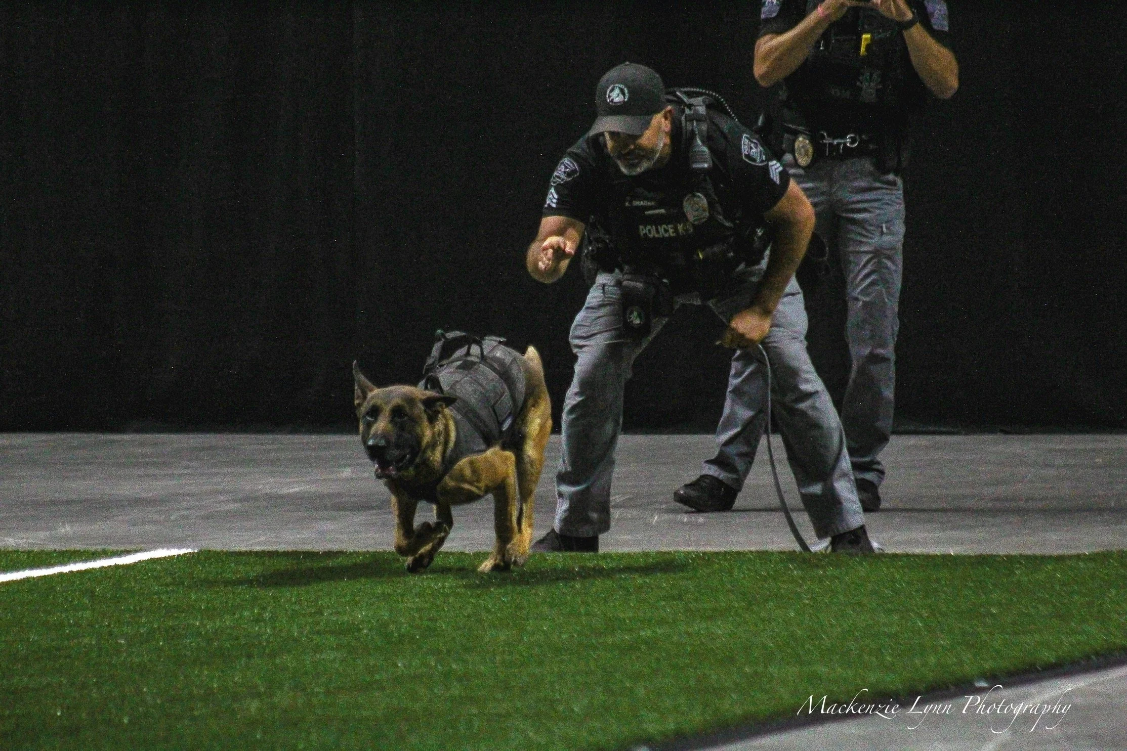 Police officer with a police dog on a sports field at night