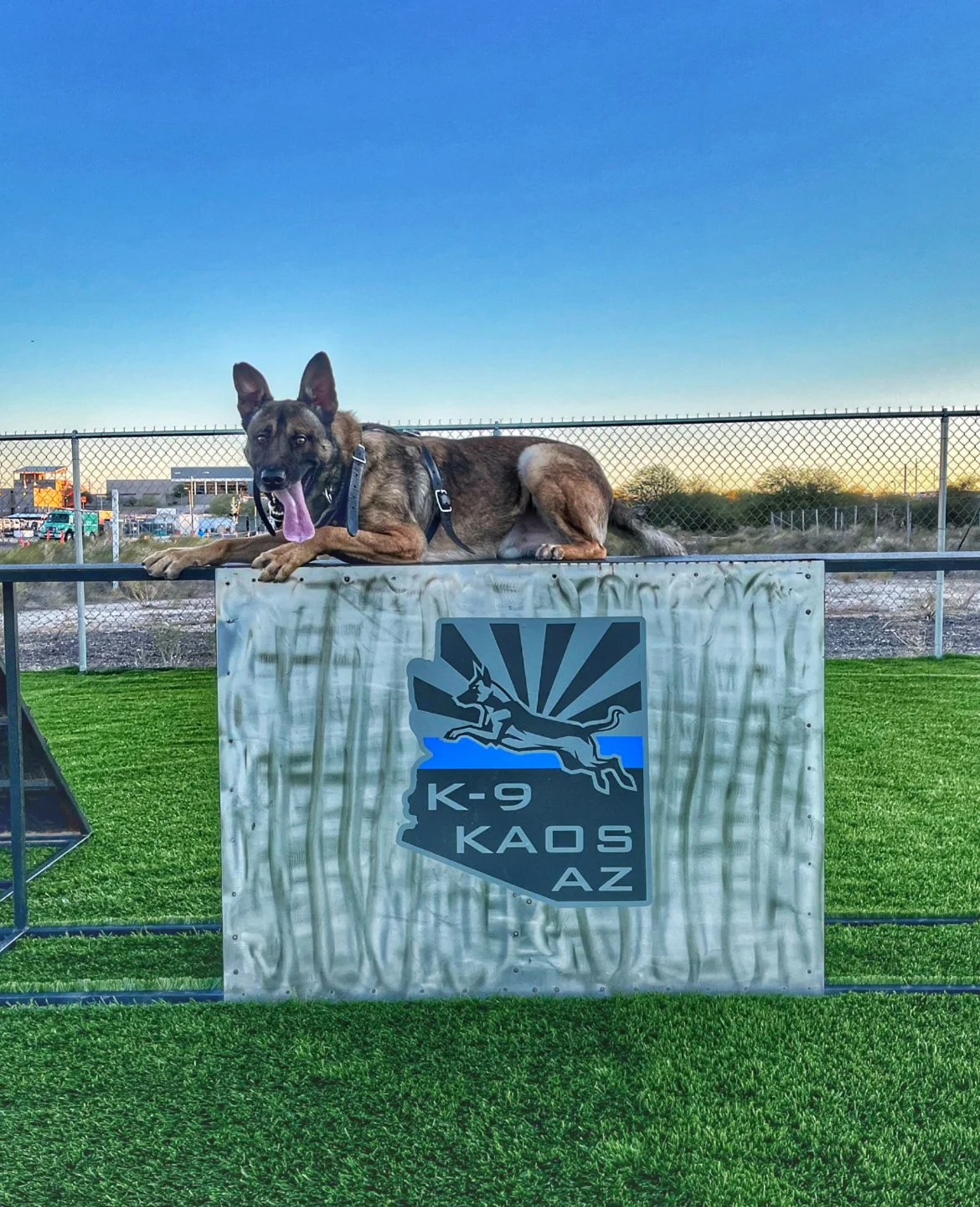 A German Shepherd dog lying on top of a metal barrier at an outdoor event, with a sign showing the K-9 police logo and the words 'K-9 KAOS AZ'. The background includes a fenced area, a parking lot, and a clear blue sky during sunset.