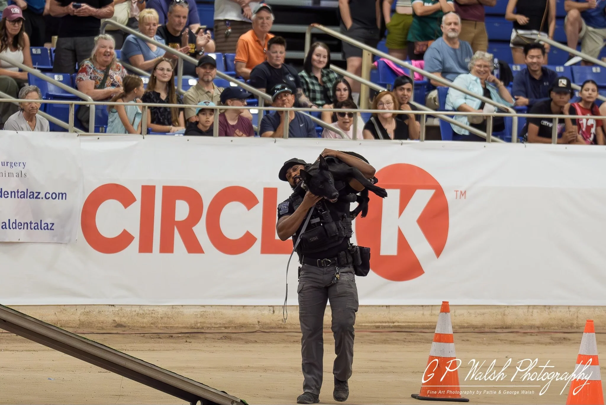 A man holding a large dog in his arms while standing on a dirt field, with orange traffic cones nearby, and a crowd of spectators sitting in stadium seats behind a white barrier.