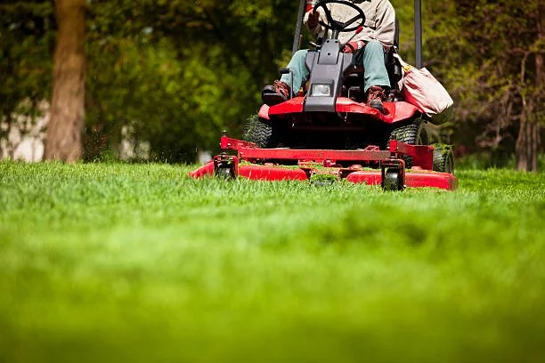 LawnSolver performing professional lawn maintenance on a healthy St. Augustine lawn in Jacksonville, Florida.