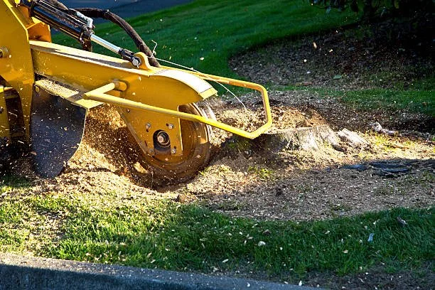 LawnSolver professional stump grinding services