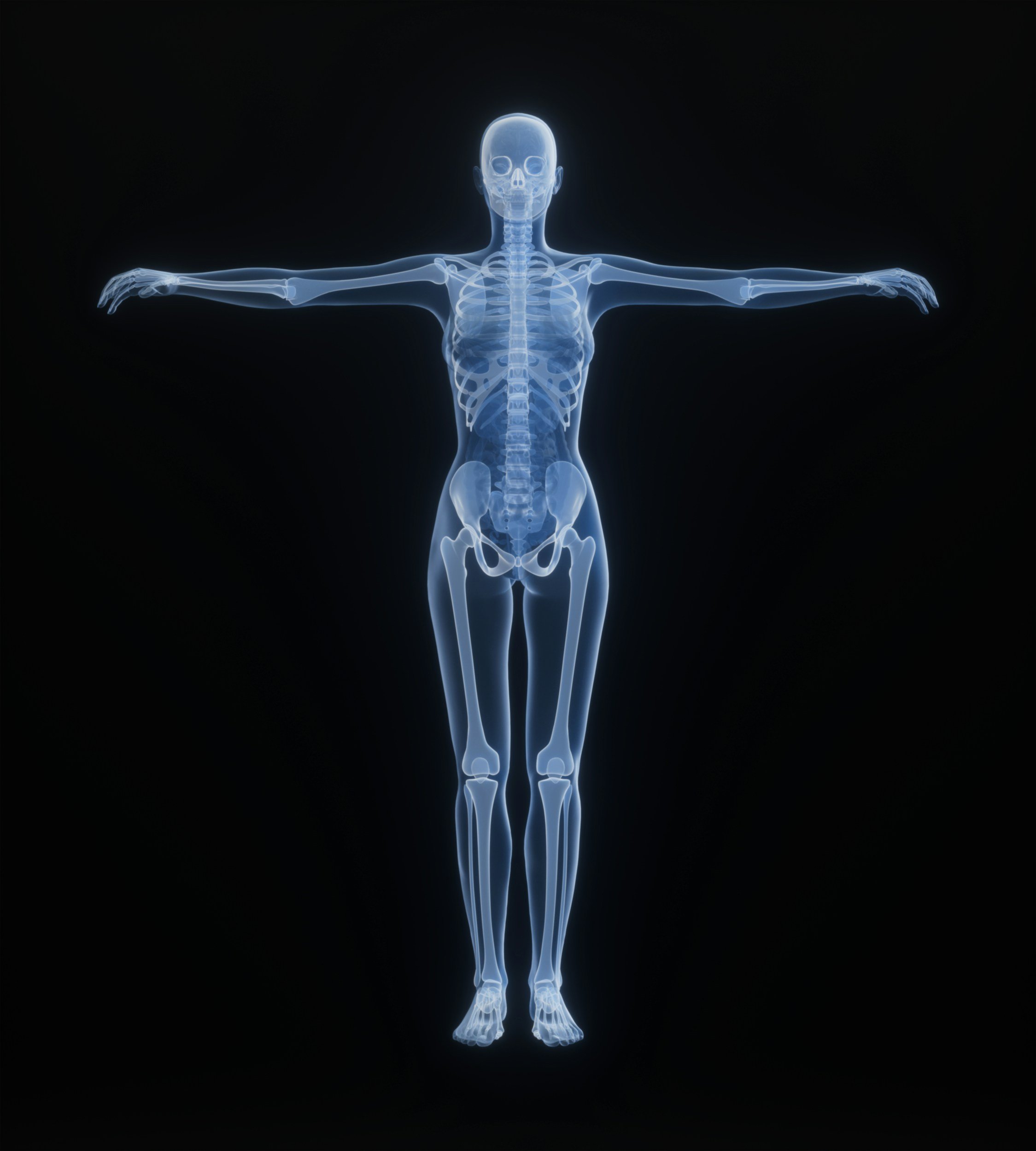 3D body illustration showing effects of C-PTSD