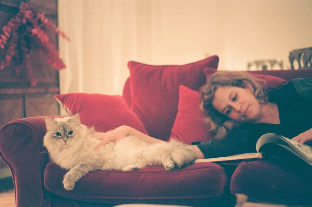 A woman pets her cat while reading a book. An online therapist in Philadelphia, PA can offer support from the comfort of home. Learn how a trauma therapist in Philadelphia, PA can offer support by searching "trauma therapy philadelphia" today!