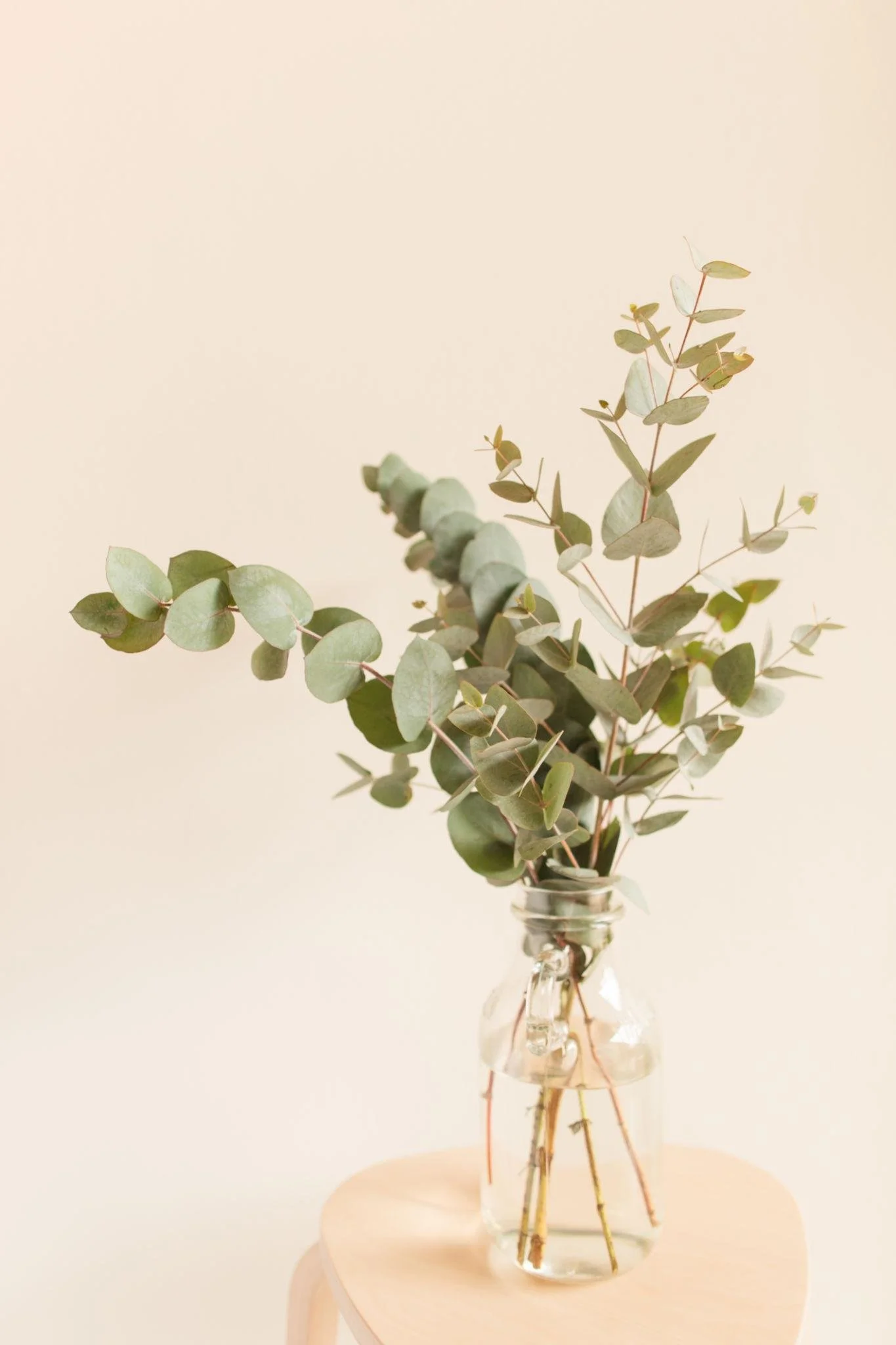 Eucalyptus leaves arranged in a glass vase on a light-colored wooden surface against a beige background.