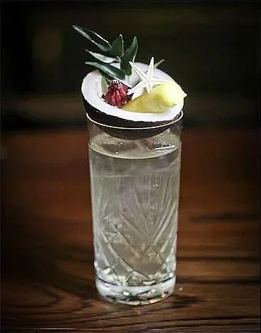 36073d137c781fc24f72b562c2009e80--cocktail-garnish-cocktail-presentation.jpg