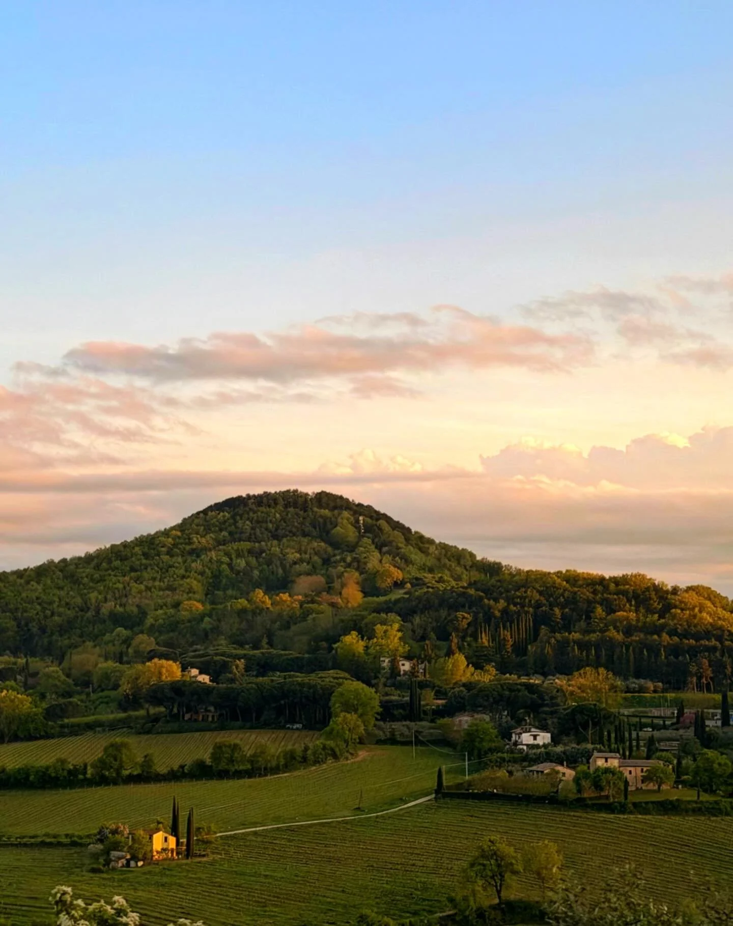 Sunset in Montepulciano 🌱🌅
.
.
.
#montepulciano #italy #montepulciano #tuscany #montepulcianoitaly