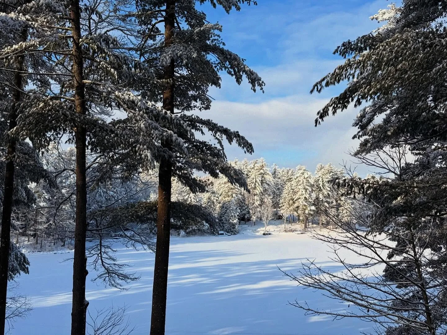 Snowing once again in NH! ❄️🌲
.
.
.
#winter #snow #nh #newengland #newhampshire