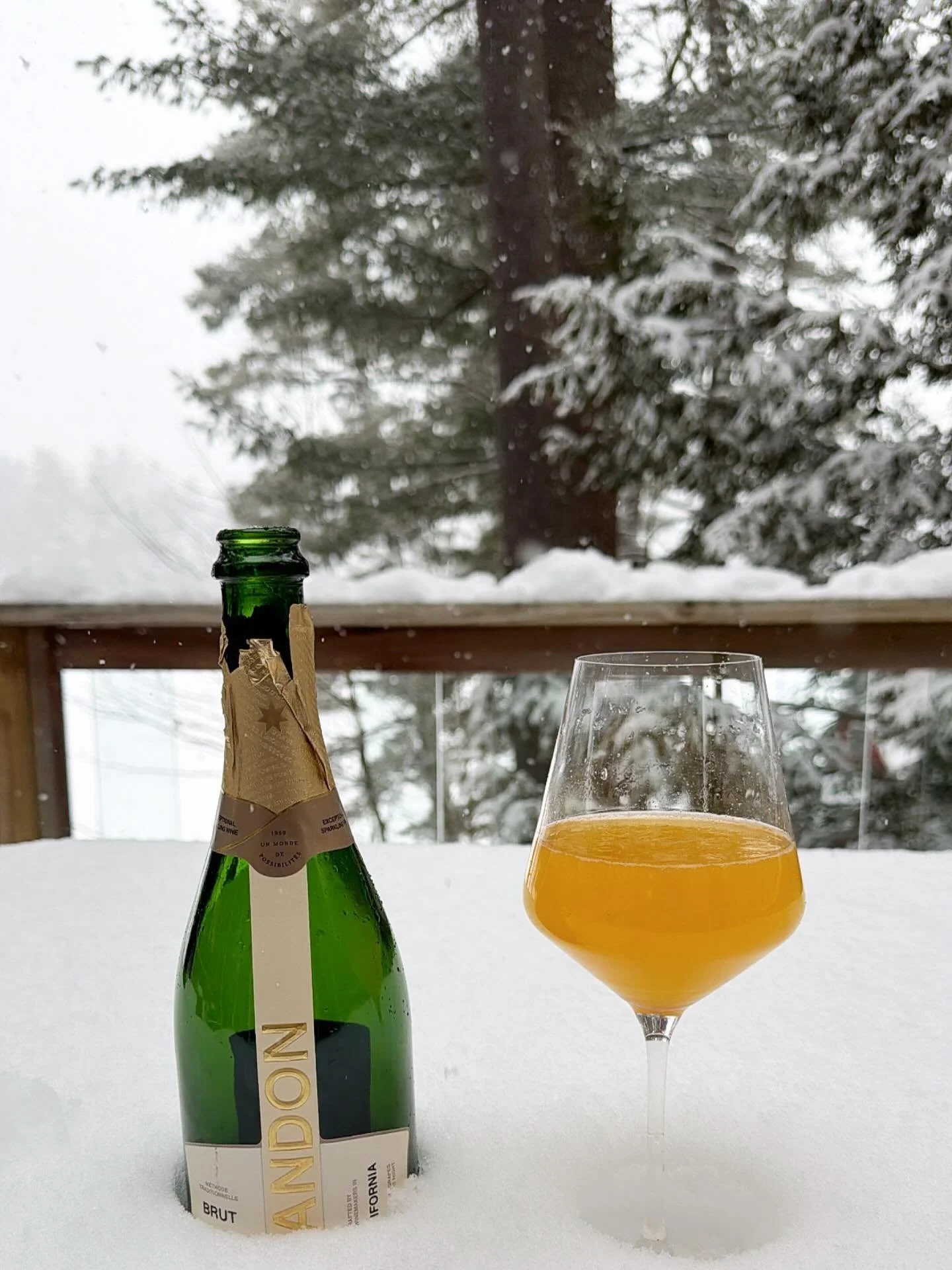 Winter wonderland in New England 🥂❄️
.
.
.
#snow #champagne #winter #newhampshire #newengland