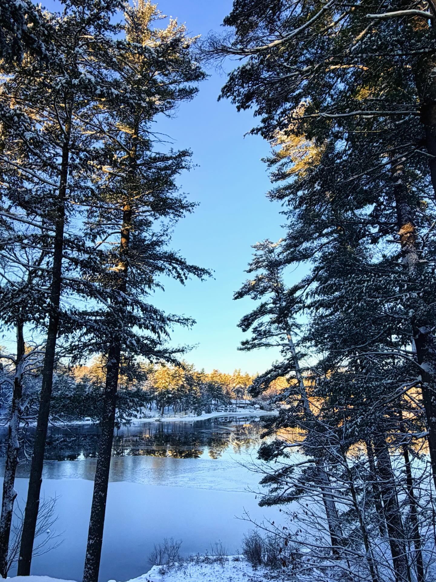 First snowfall on Forest Lake. Pretty, but very cold. 🥶🌨️
.
.
.
#snow #forestlakenh #forestlake #newhampshire #lake #winter #newengland