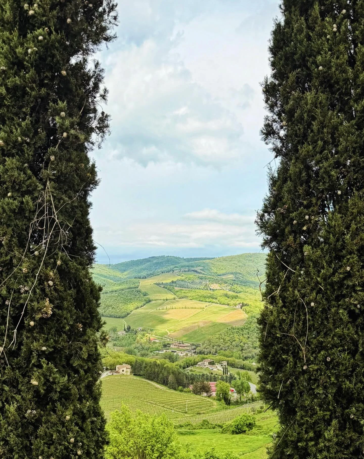 Tuscany 🇮🇹 🌱
.
.
.
#tuscany #tuscanyitaly #italy