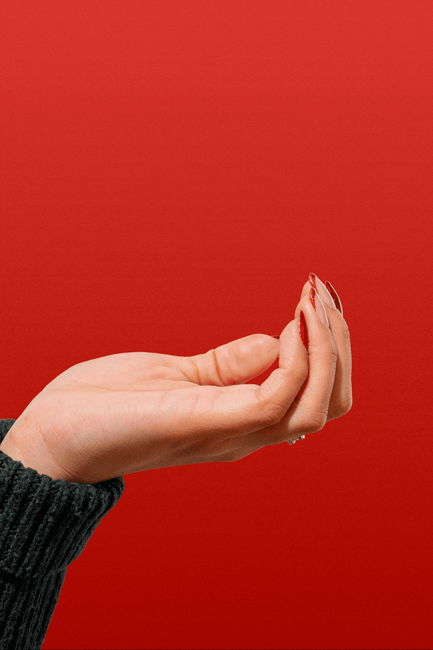 GIF2.gif