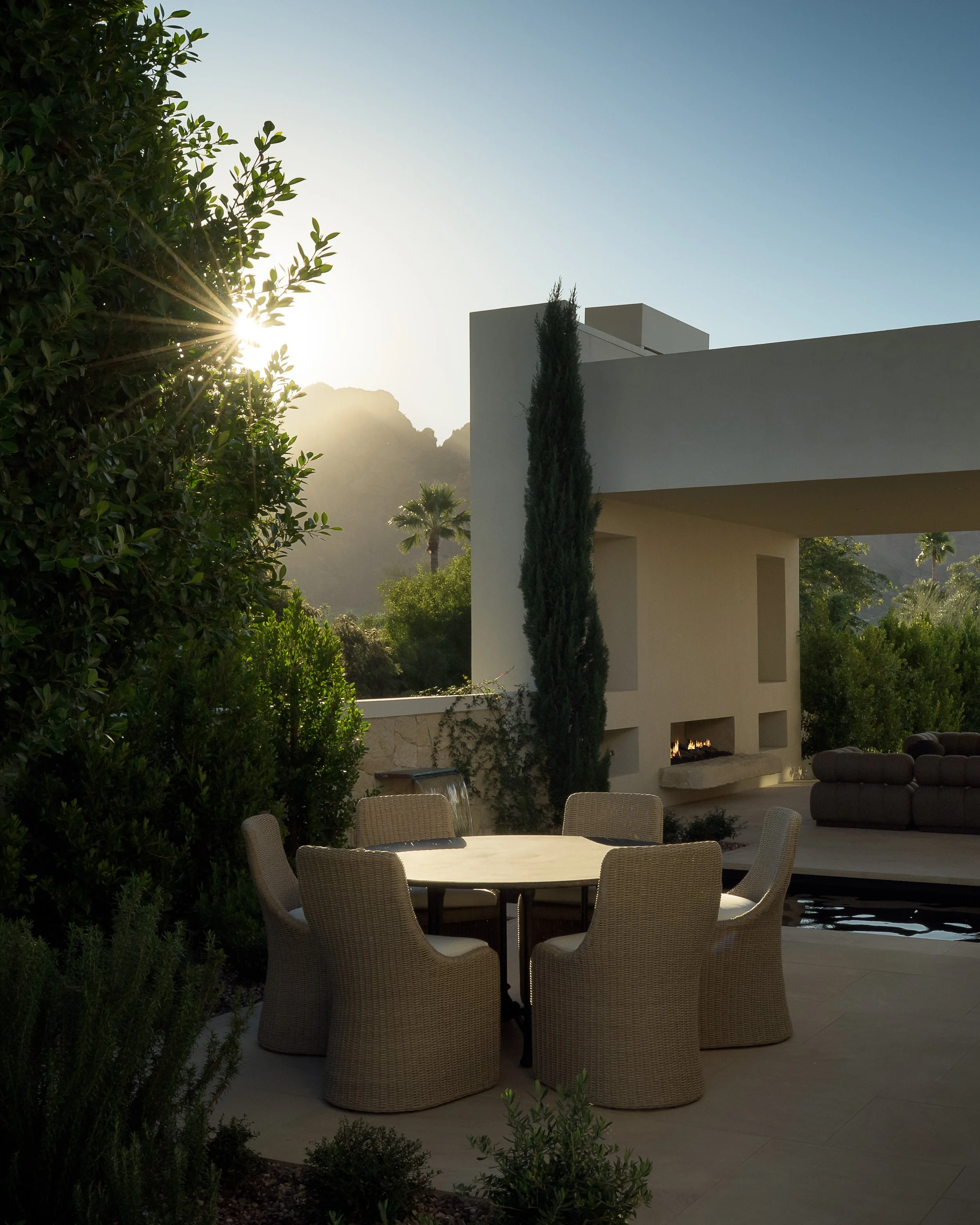 Contemporary desert home exterior with mature olive trees at golden hour — residential architecture photography Arizona