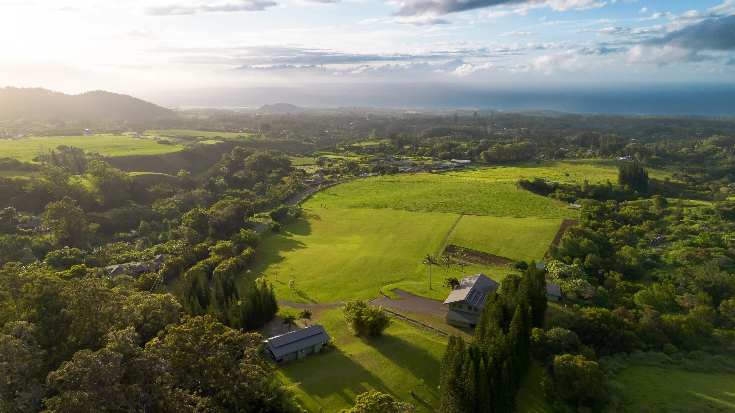 DJI_0038-Edit.jpg