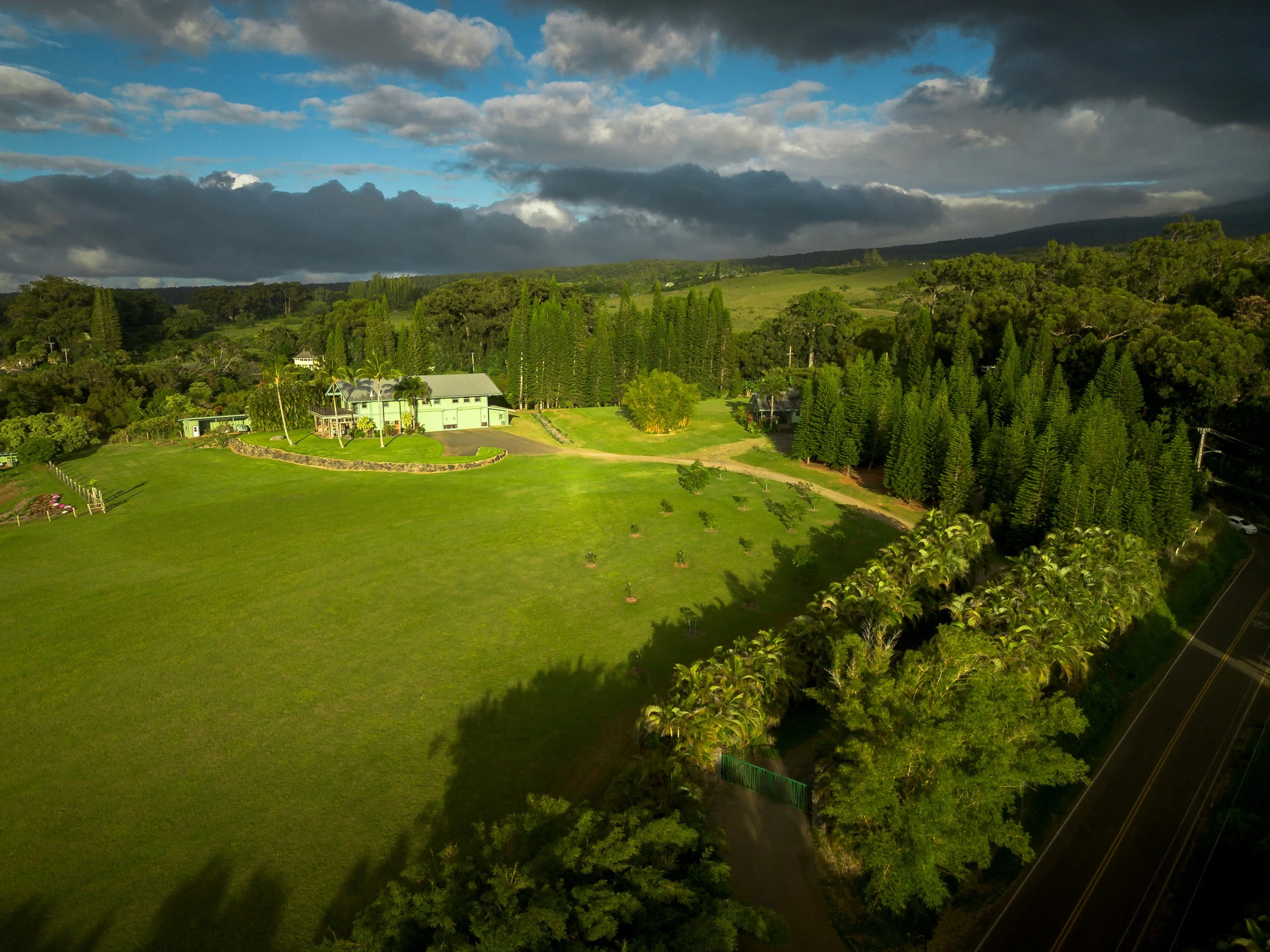 DJI_0029.jpg