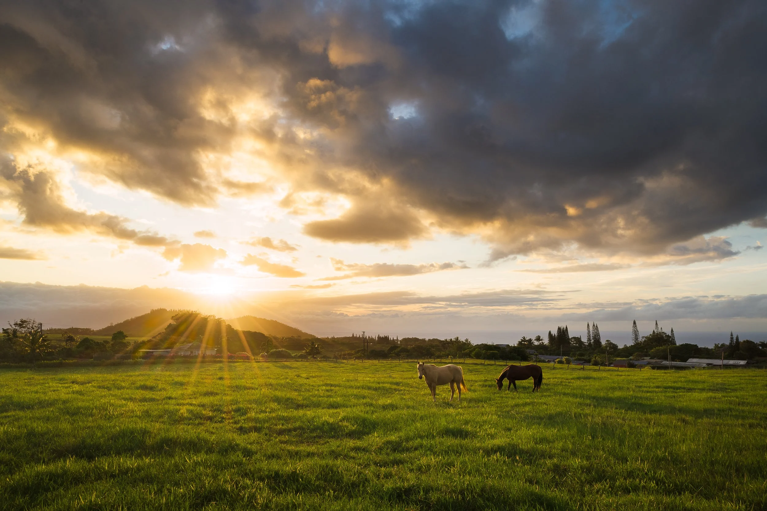 Sweeping landscape with golden hour light over pastoral fields — residential architecture photography