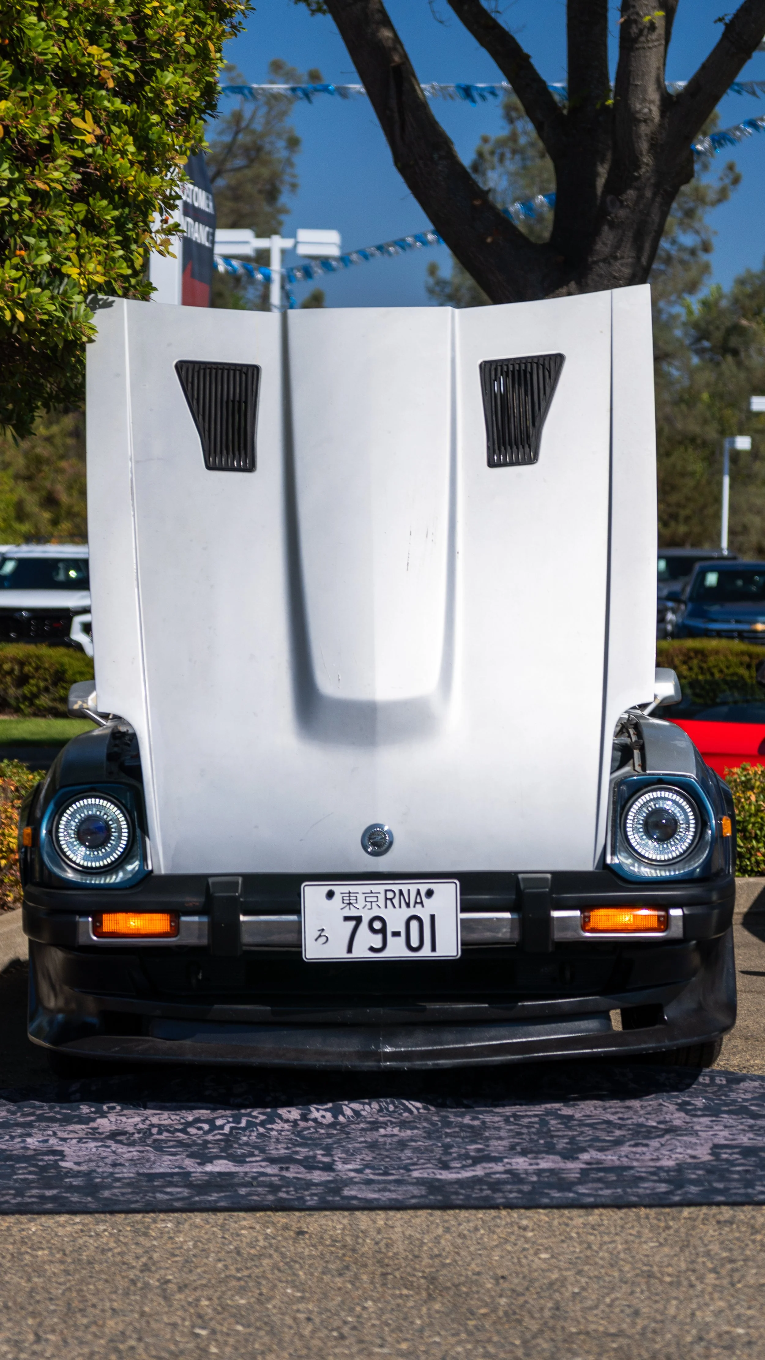 _PJP2964-2.jpg