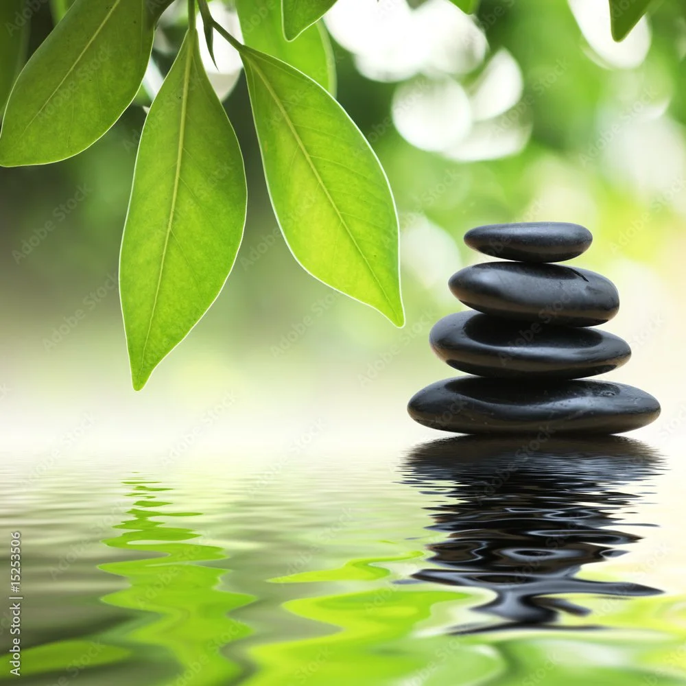 Stack of smooth black stones on water with green leaves overhead