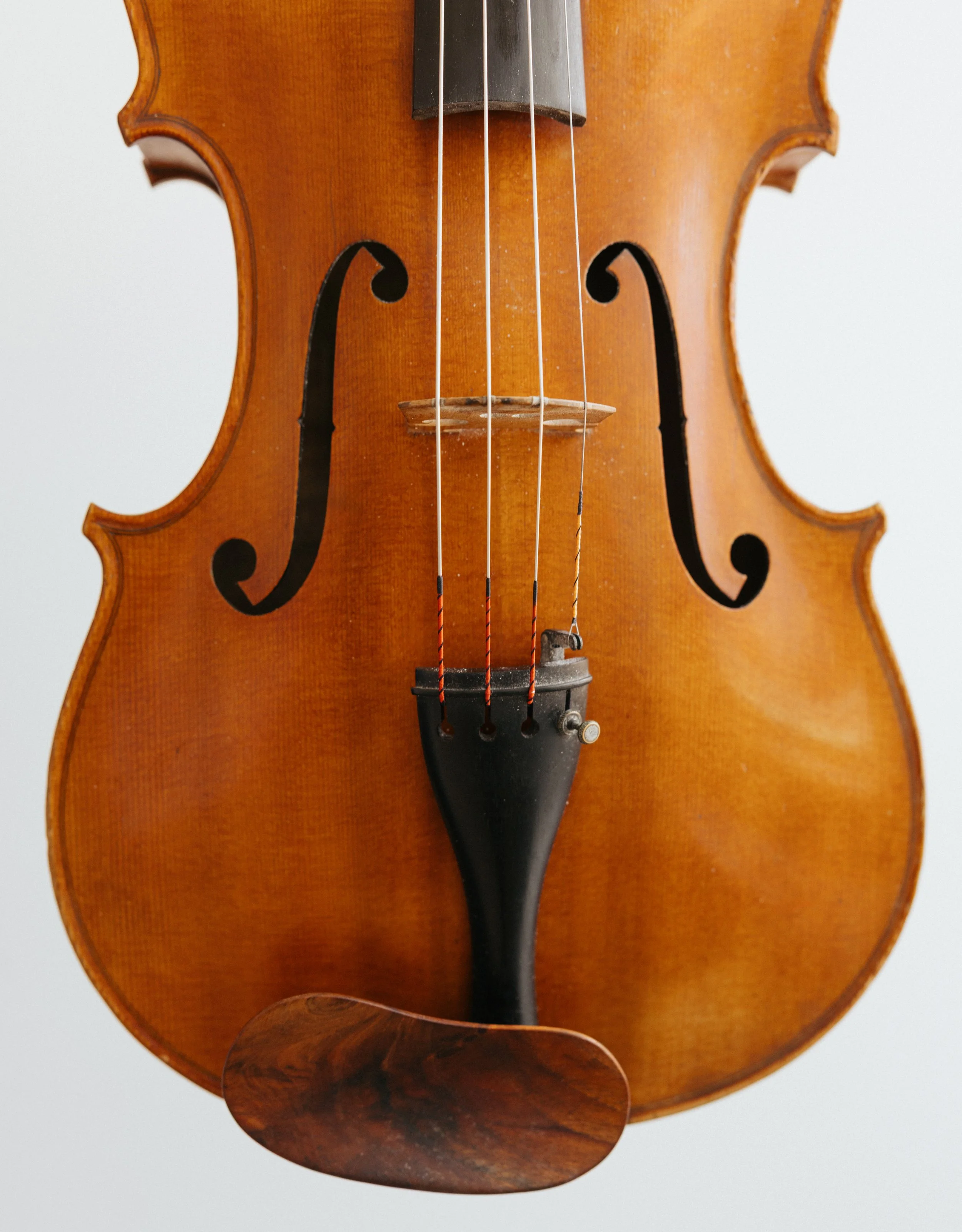 Close-up of a violin showing the body, strings, and chin rest.