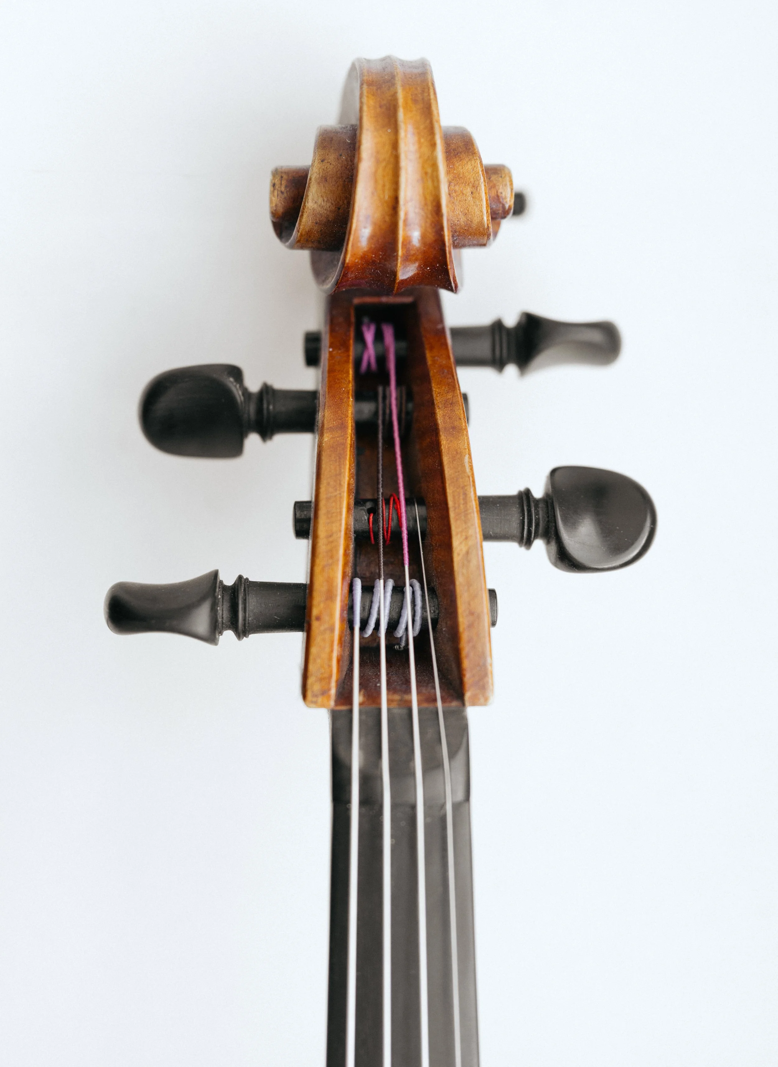 Close-up of the headstock and tuning pegs of a violin, viewed from the top, with a plain white background.