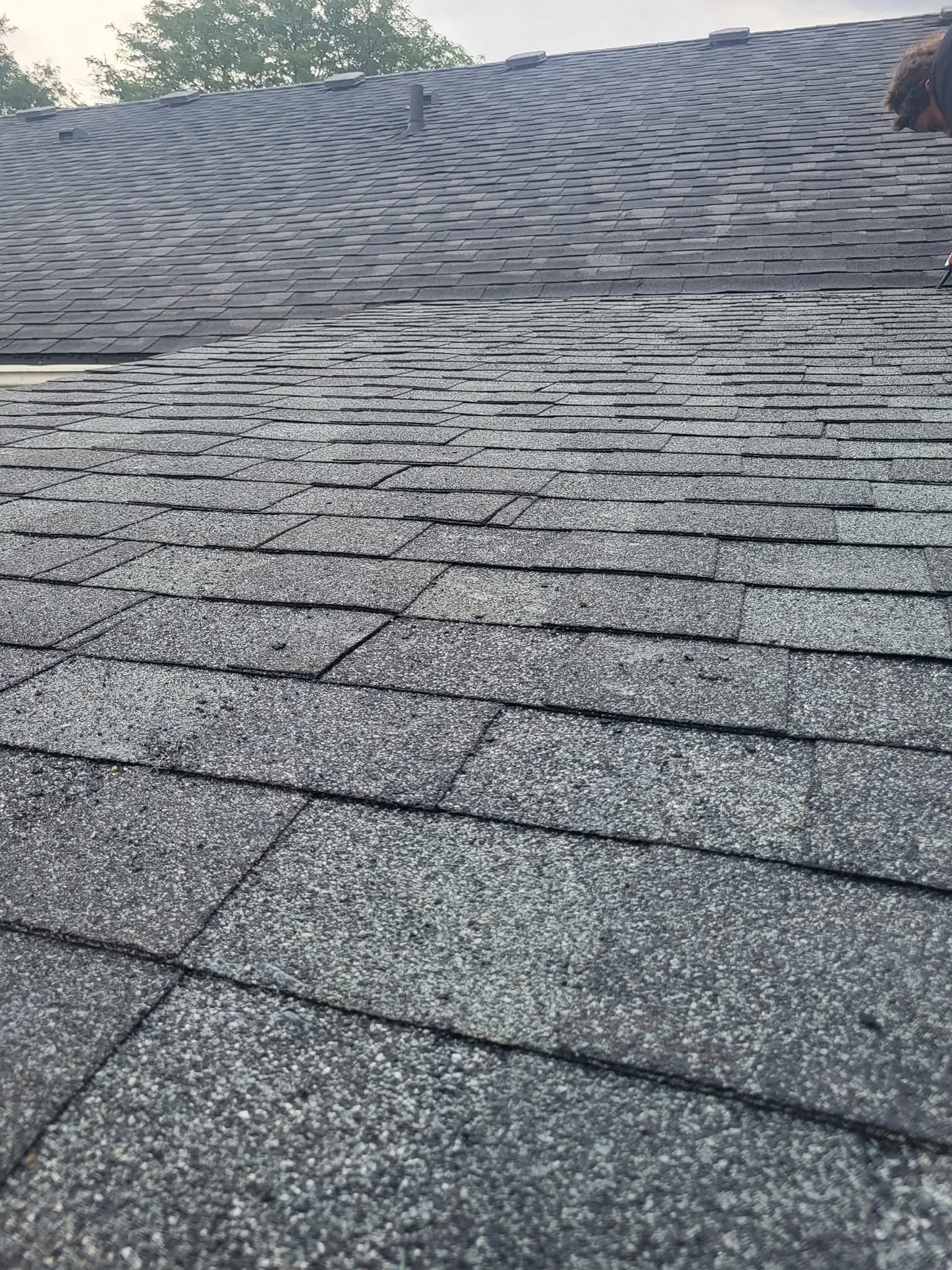 A view of two different sections of a roof with asphalt shingles, showing the transition between the older, darker shingles and the newer, lighter shingles. There is part of a person's head and shoulder visible on the right side.