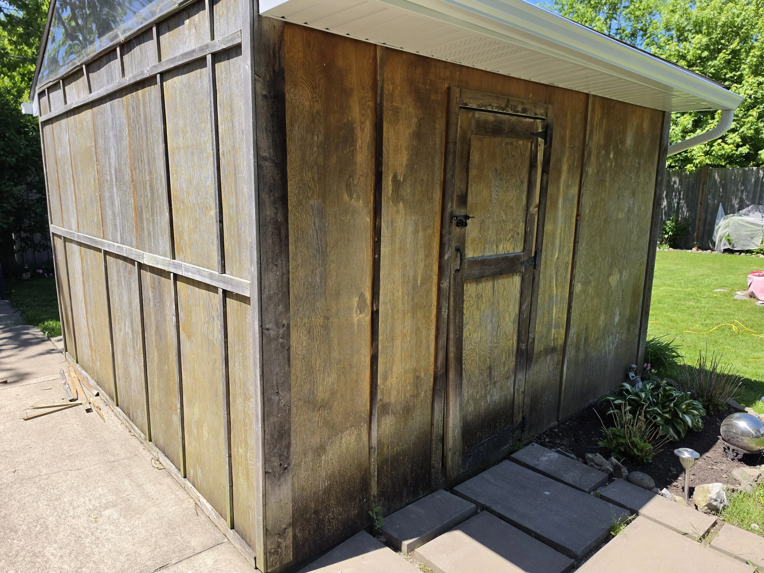 Backyard shed with wooden walls, a white metal roof, a padlock on the door, and steps leading up to it. Surrounding greenery and a shaded patio area.