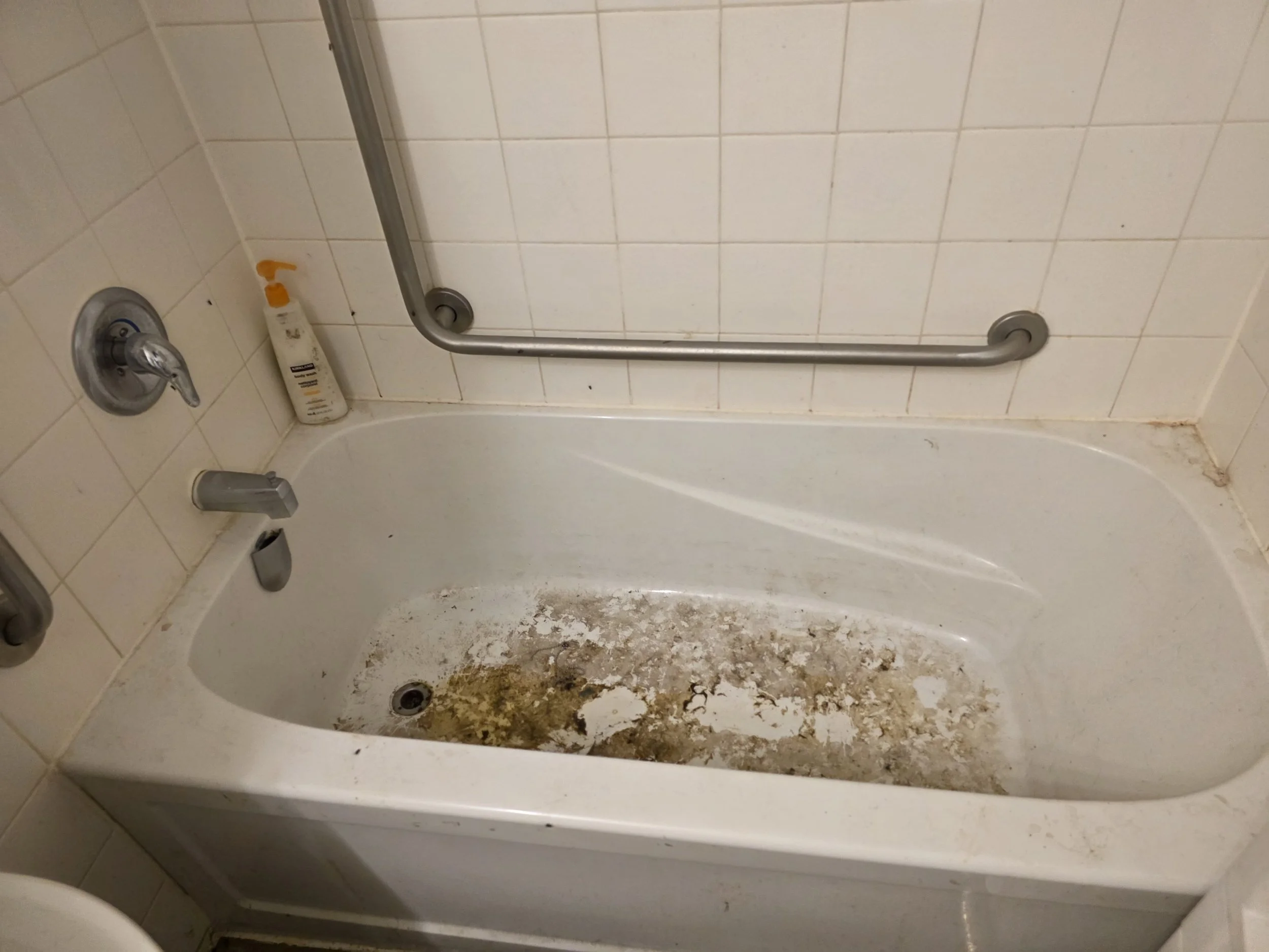 The bottom of a bathtub with brown dirt or mold along the edge and on the floor inside the tub. The wall behind the tub has white tiles, and there is a grab bar on the wall. A bottle of soap or shampoo is resting against the wall, near the faucet.