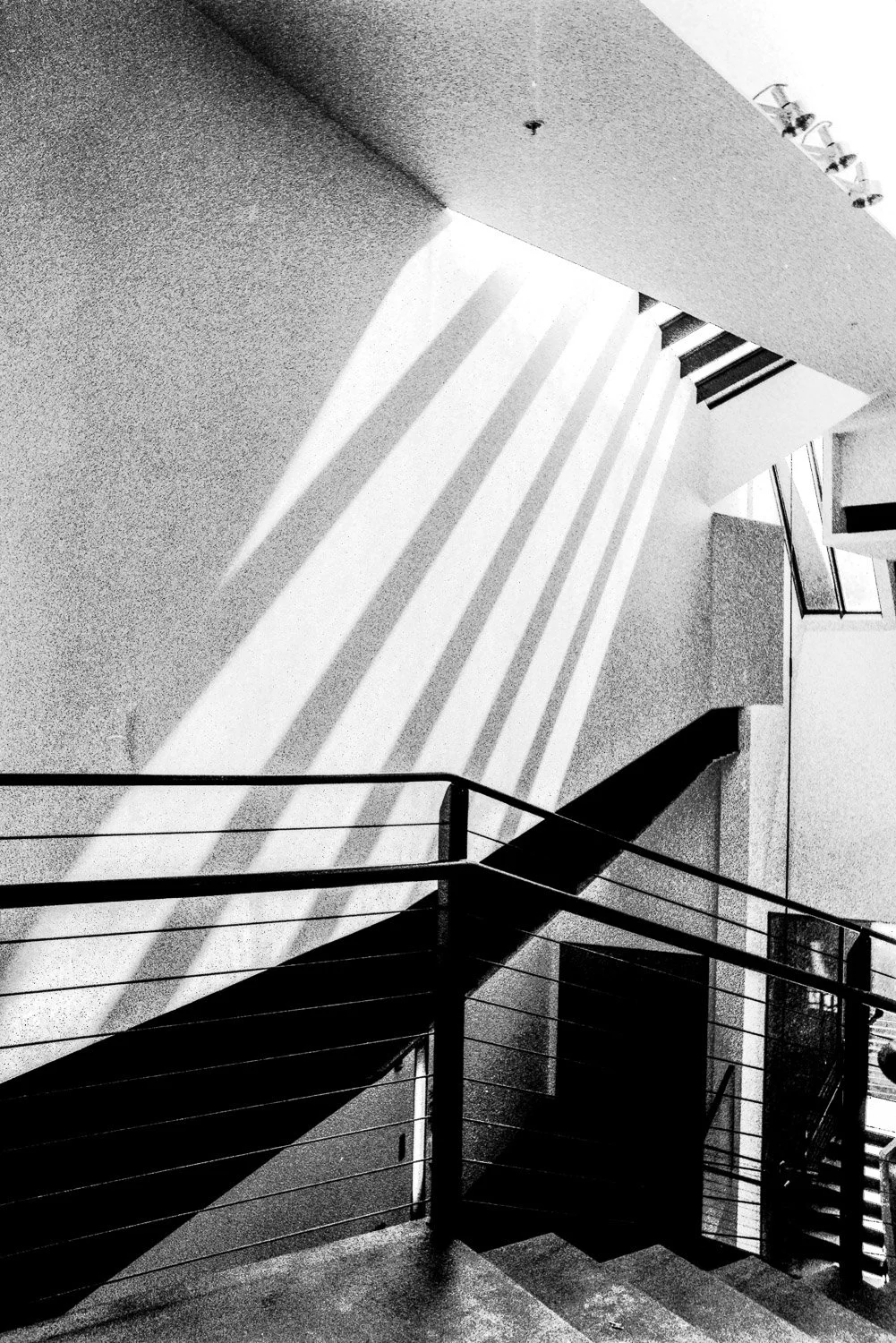 Film_-46.jpg